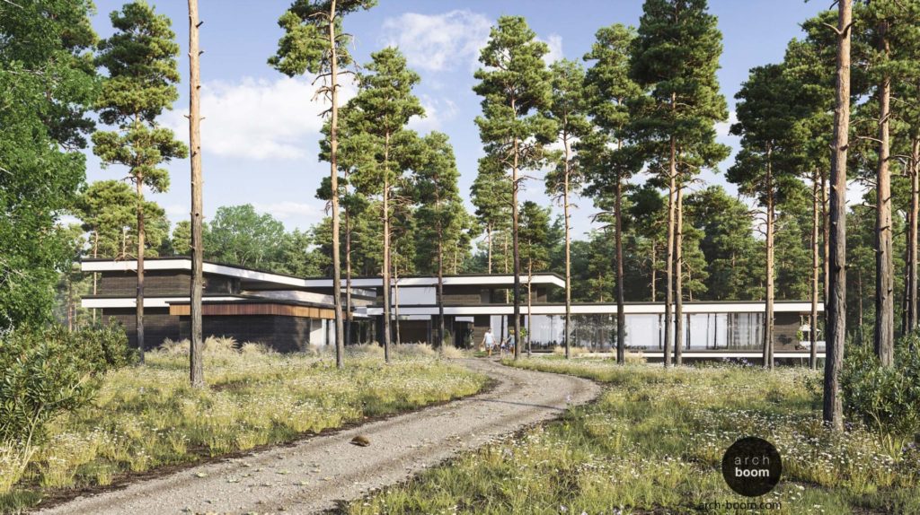 проект частного дома с плоскими крышами  в лесу 